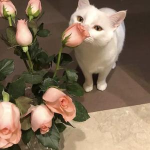 亚洲成人综合网站
